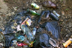 Свалка бытовых отходов в гуще леса в 300 метрах от болота на поле!