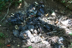 Свалка бытовых отходов в гуще леса в 300 метрах от болота на поле!