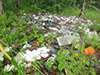Стихийная свалка бытового мусора в Опалиховском лесопарке Красногорска.