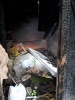 Сгоревший строительный вагончик с бытовым мусором недалеко от ветклиники «Кобра».