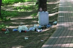 «Стихийная свалка» возле мусорного контейнера в городском парке недалеко от «Ивановских прудов».