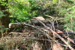 Крупная стихийная свалка в овраге на окраине леса в 150 метрах от Красногорской налоговой службы (ФНС).