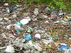 Стихийная свалка бытового мусора в Опалиховском лесопарке Красногорска.