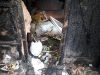 Сгоревший строительный вагончик с бытовым мусором недалеко от ветклиники «Кобра».